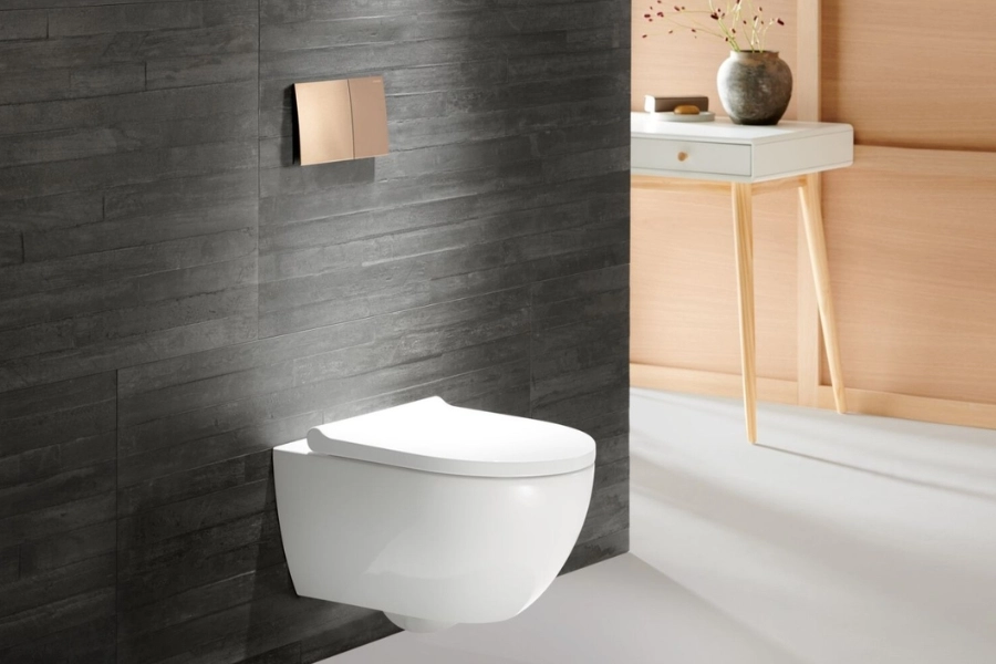 cac-loai-bon-cau-ve-sinh (3)