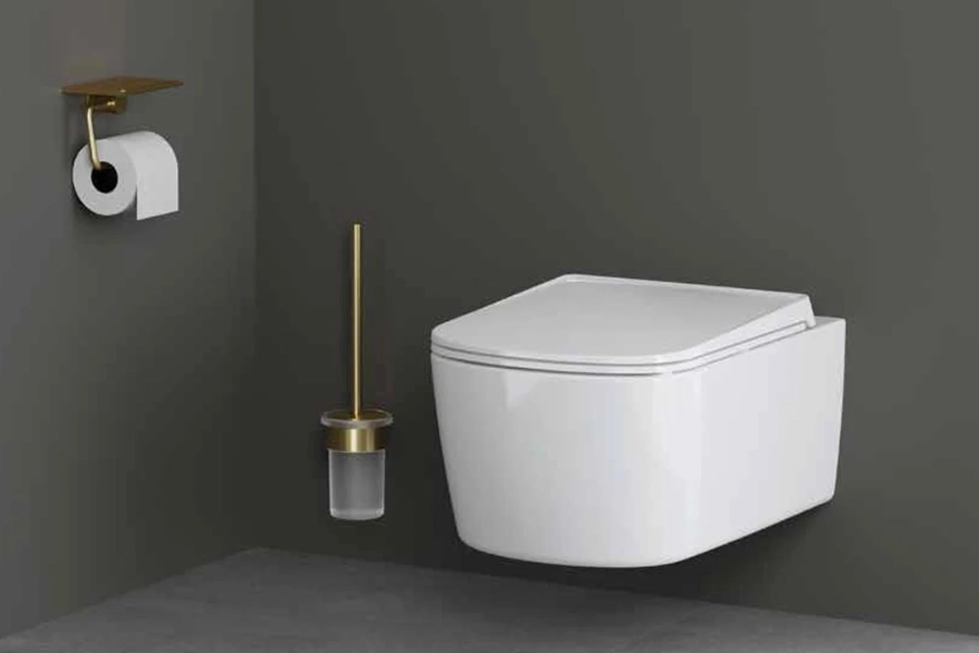 cac-loai-phu-kien-phong-tam-cao-cap-pho-bien-hop-dung-giay-ve-sinh