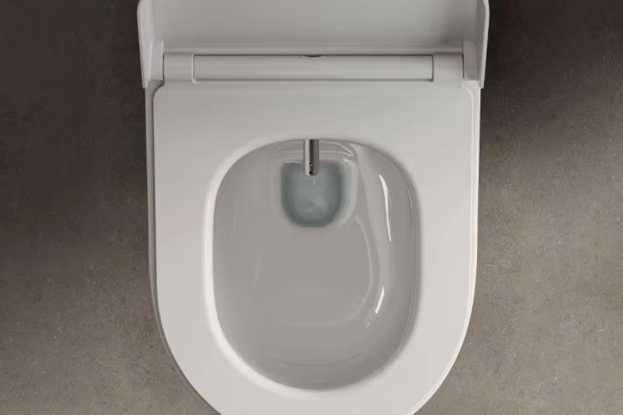 mua-nap-bon-cau-o-dau (1)