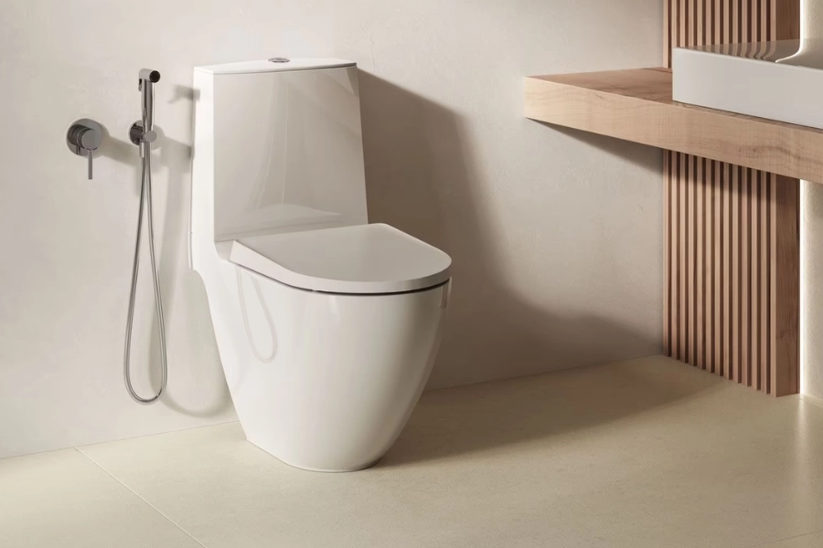 vi-sao-can-chon-dung-noi-mua-nap-bon-cau-cao-cap-tai-tphcm