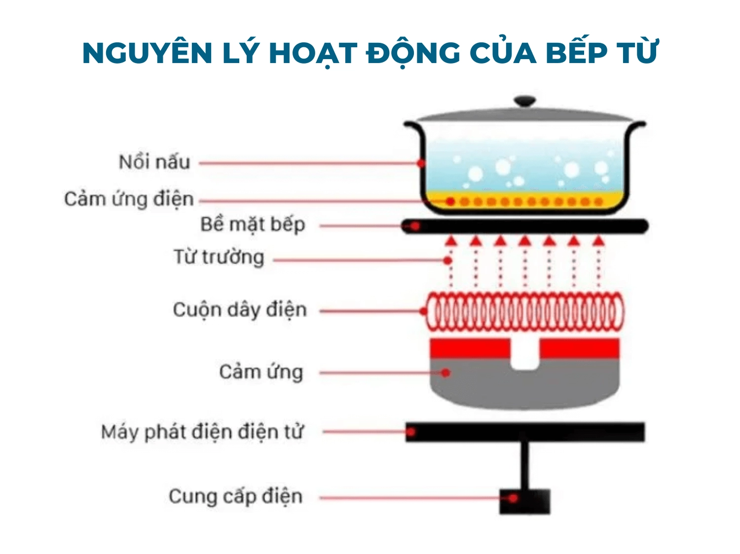 Nguyên lý hoạt động của bếp từ