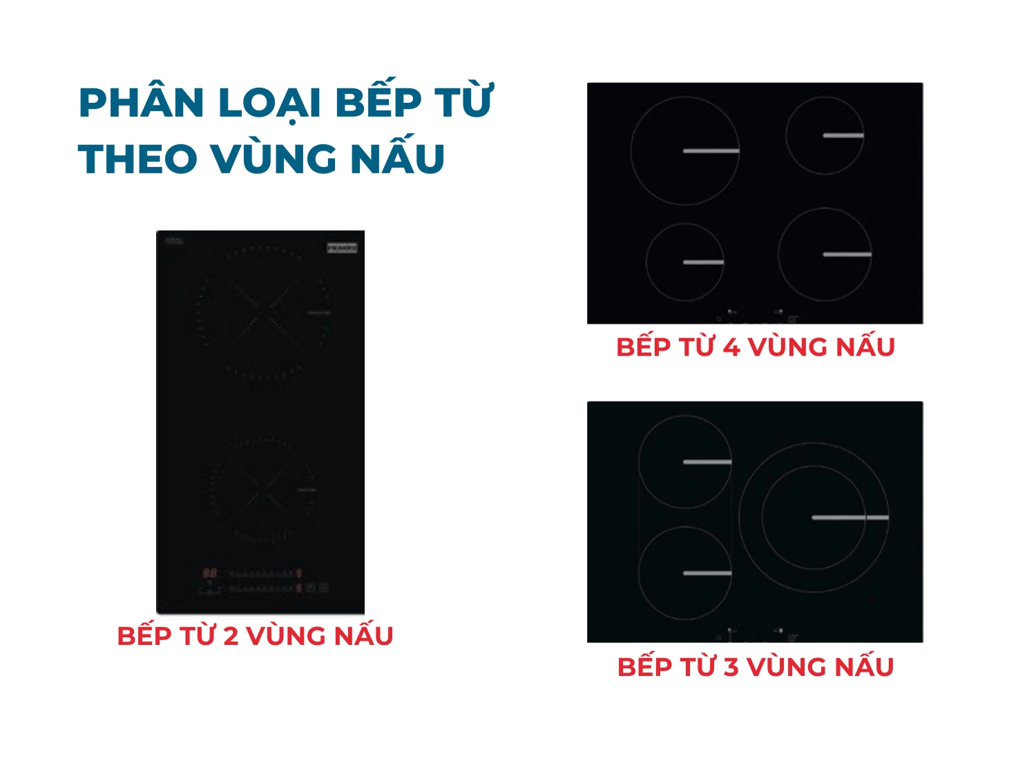 Phân loại bếp từ theo vùng nấu