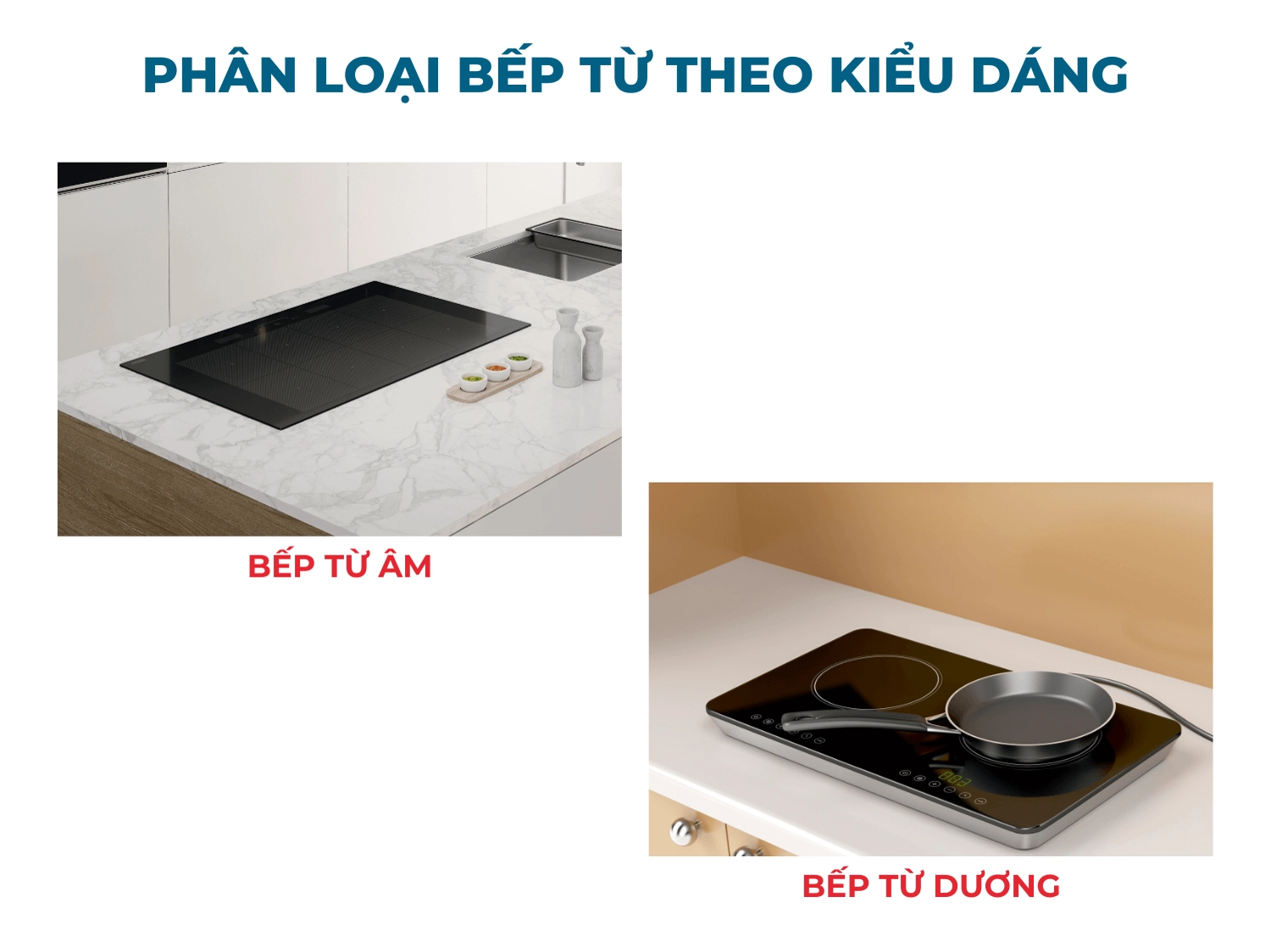Phân loại bếp từ theo kiểu dáng