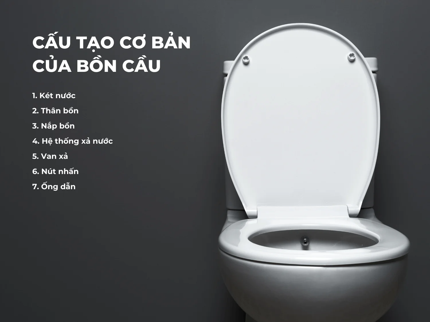 Cấu tạo cơ bản của bồn cầu